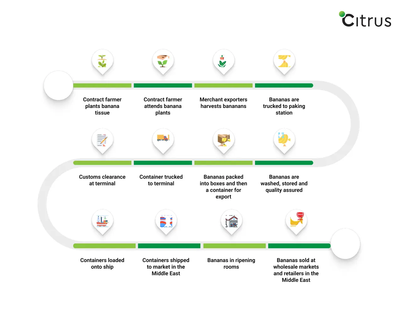Banana Export Process, Citrus Freight