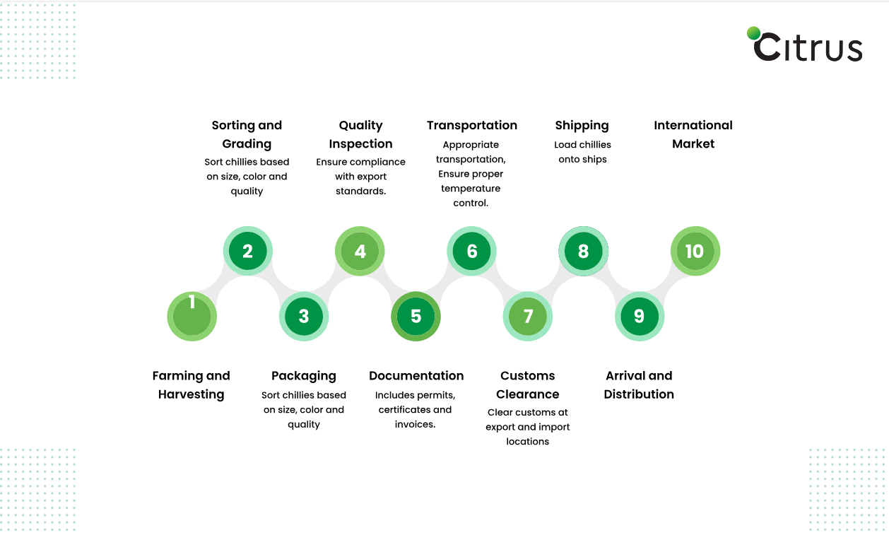 Green Chilli Export Process from India, Citrus Freight
                