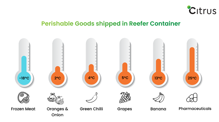 Perishable Goods shipped in Reefer container with temperature control, Citrus Freight