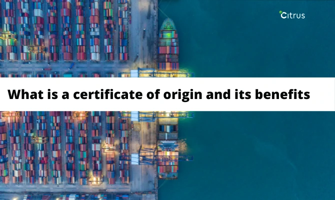 Certificate of Origin (CO): Definition, Types, and How to Get One