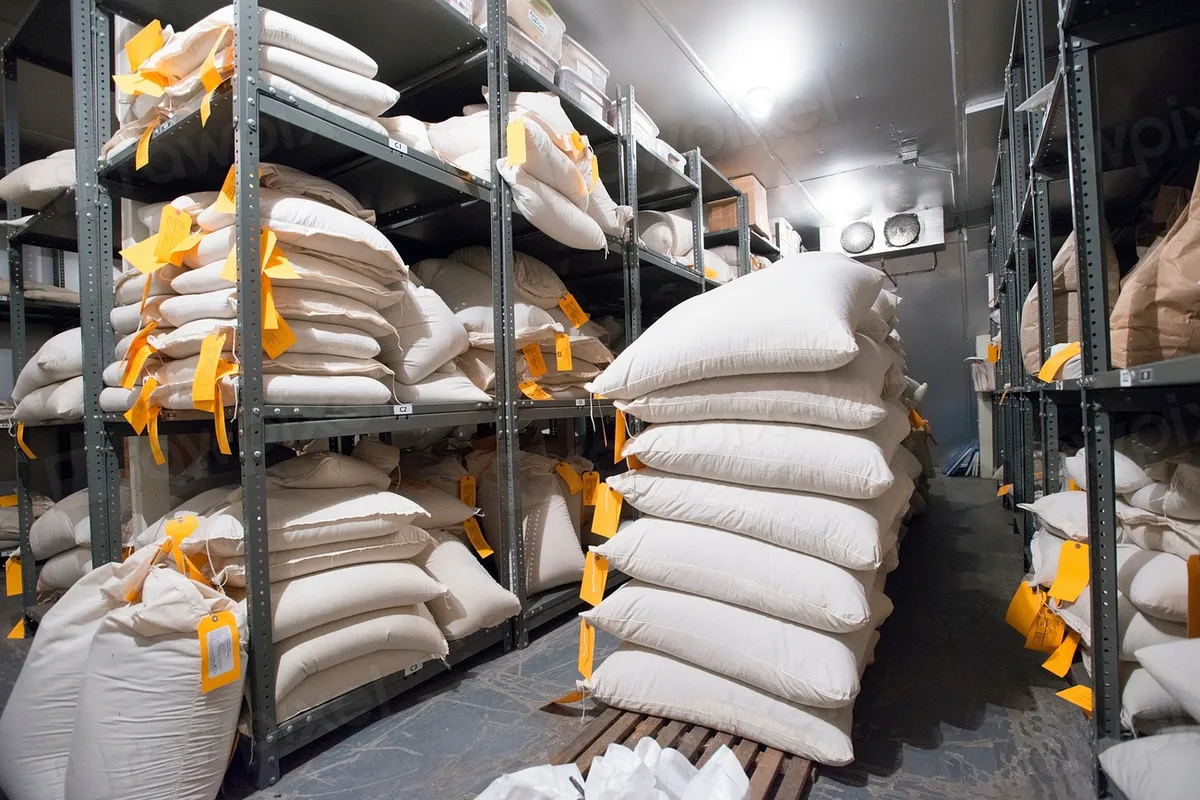 Produce stored in a cold storage warehouse