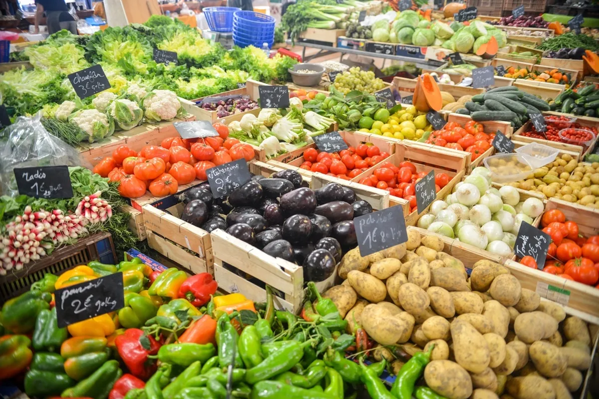 Fresh fruits and vegetables ready for export